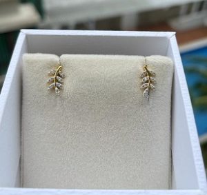 Moderately Royal Diamond Earring photo review
